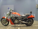     Harley Davidson VRSCR Street Rod 1130 V-Rod1130 2006  1